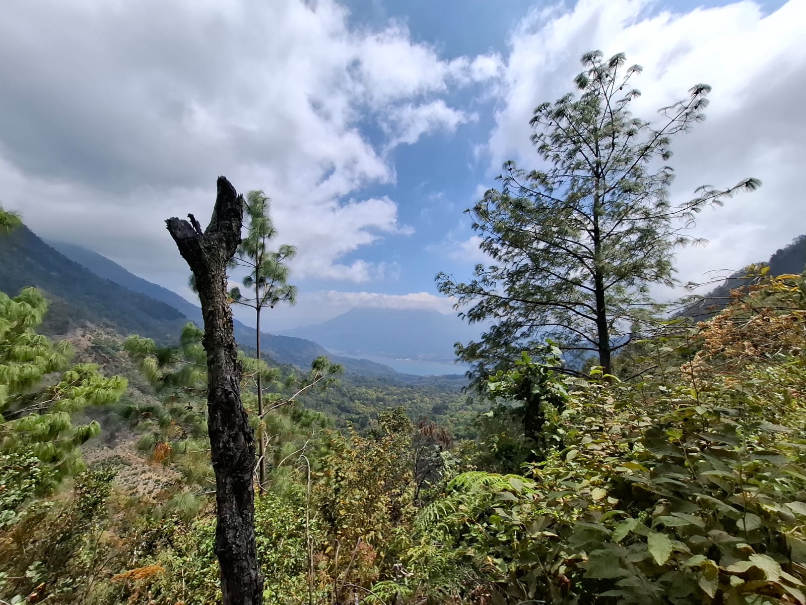 Volcan Pakisis